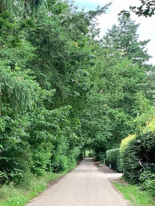 Op Boszicht Genieten Van De Rust & Natuur Putten Bagian luar foto