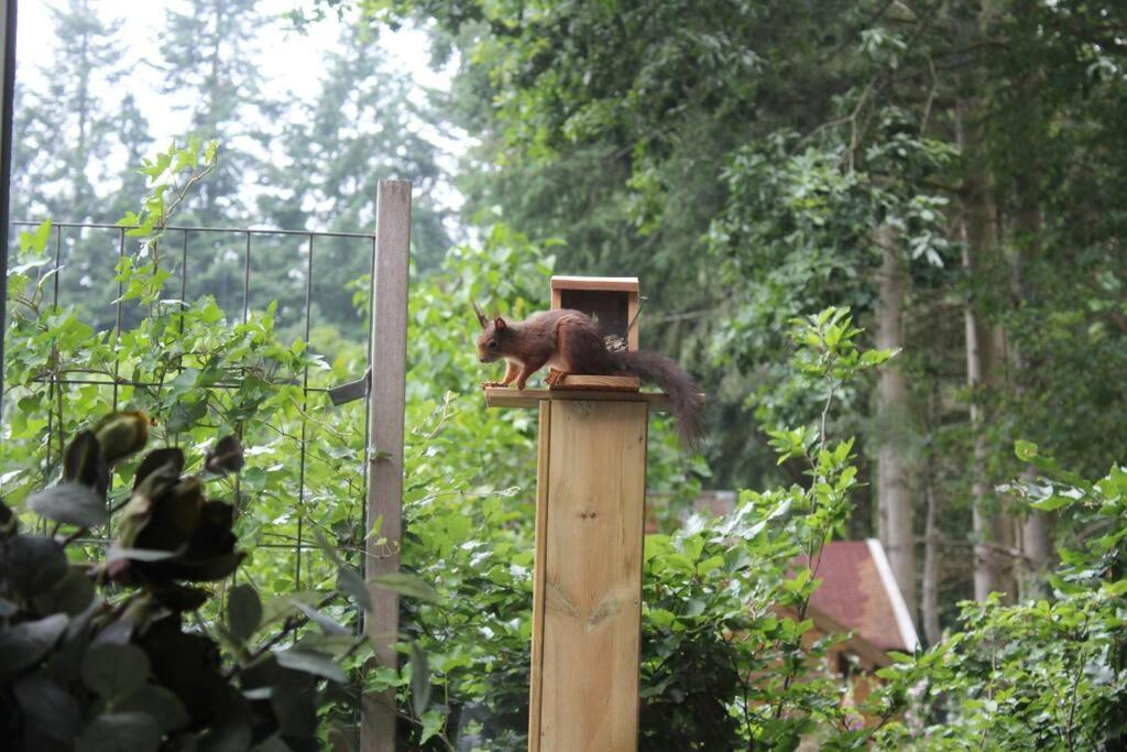 Op Boszicht Genieten Van De Rust & Natuur Putten Bagian luar foto